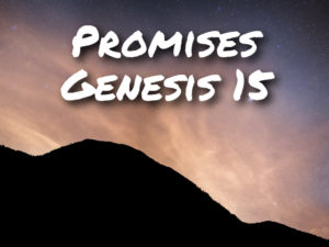 genesis-15-images-004