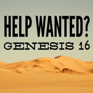 genesis-16-002