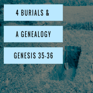 Genesis 35-36.001